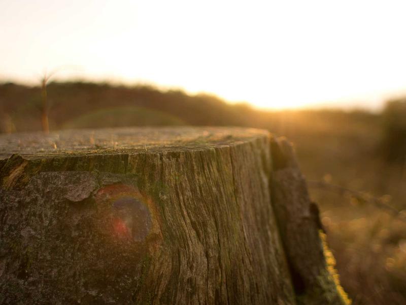 feedback screenshot 5